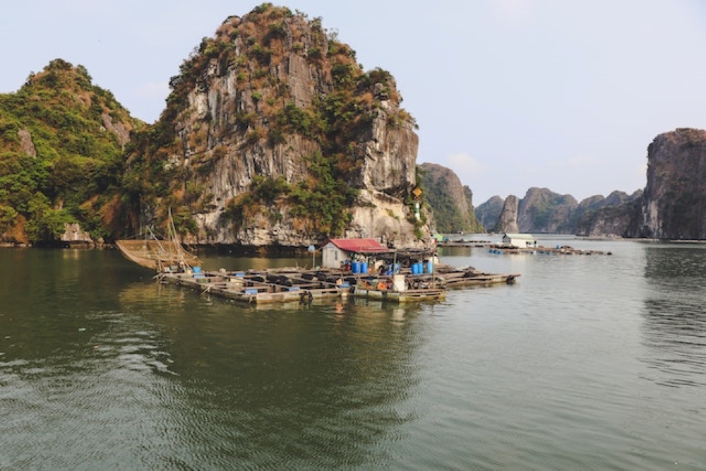Agence de voyage Vietnam : zoom sur ses principaux points forts